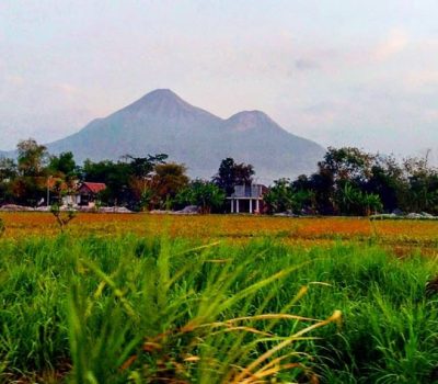 Merayakan Hari Raya Bersama Manusia Mulia