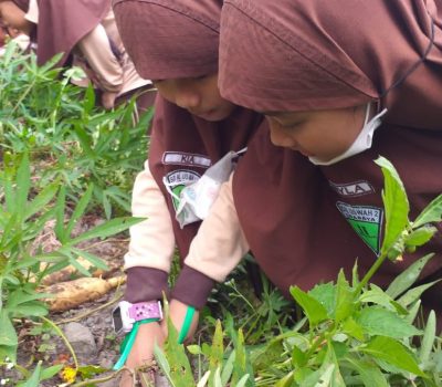 Menjadikan Waktu Berkualitas Saat Bersama Ananda
